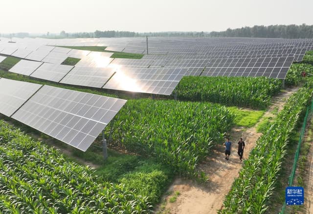 辽宁彰武:光伏治沙 向绿而行
