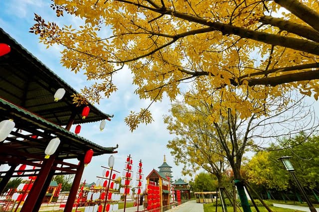 河南洛阳:初冬景色美如画